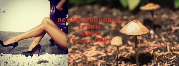 марки nbome Балабаново