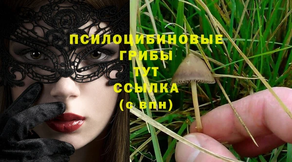 прущая мука Баксан